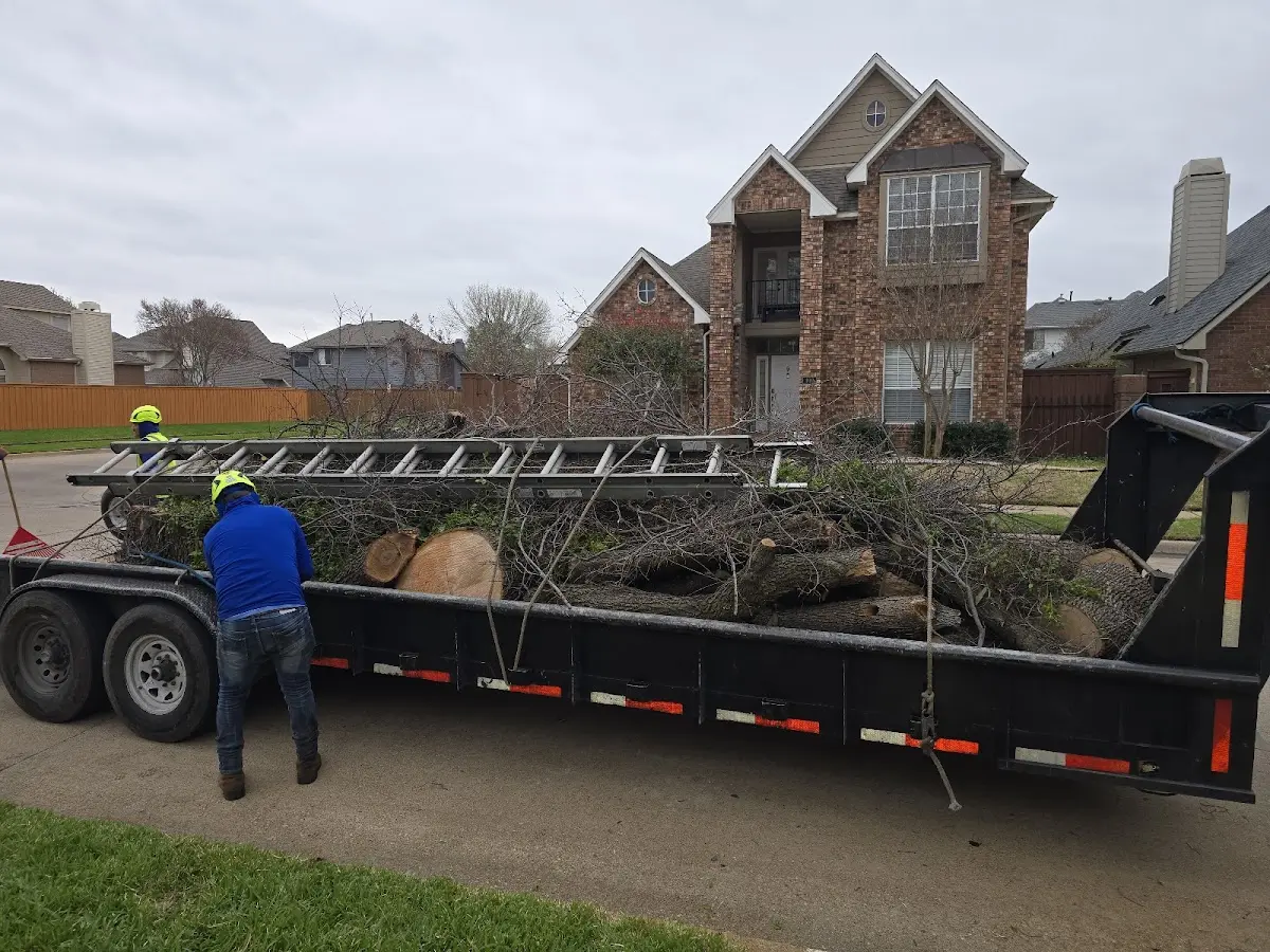 Expert Crown Reduction with proper safety equipment in Clarksdale
